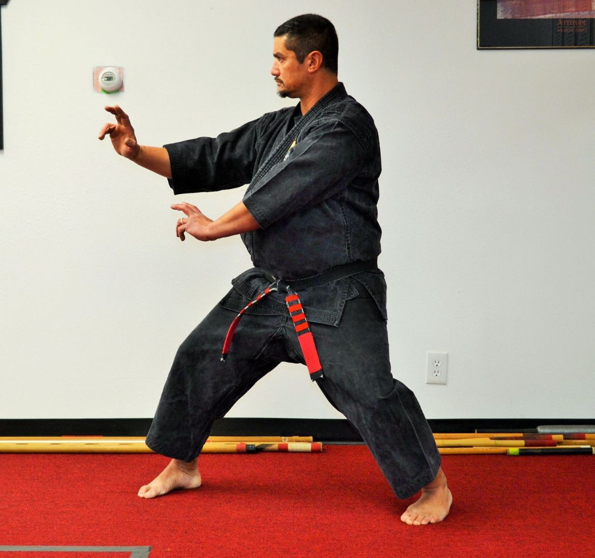 Martial Arts Instruction